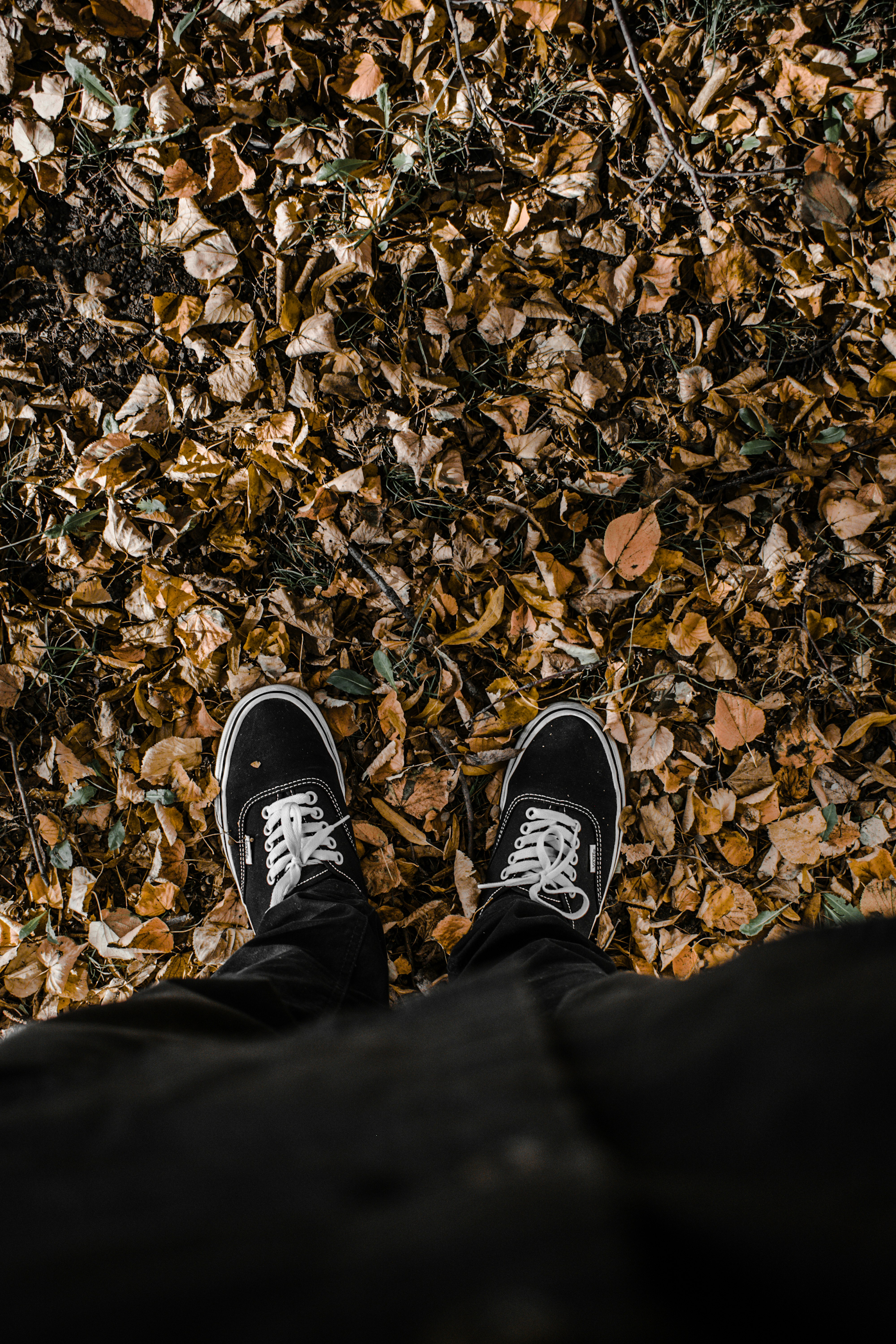 person wearing black and white sneakers